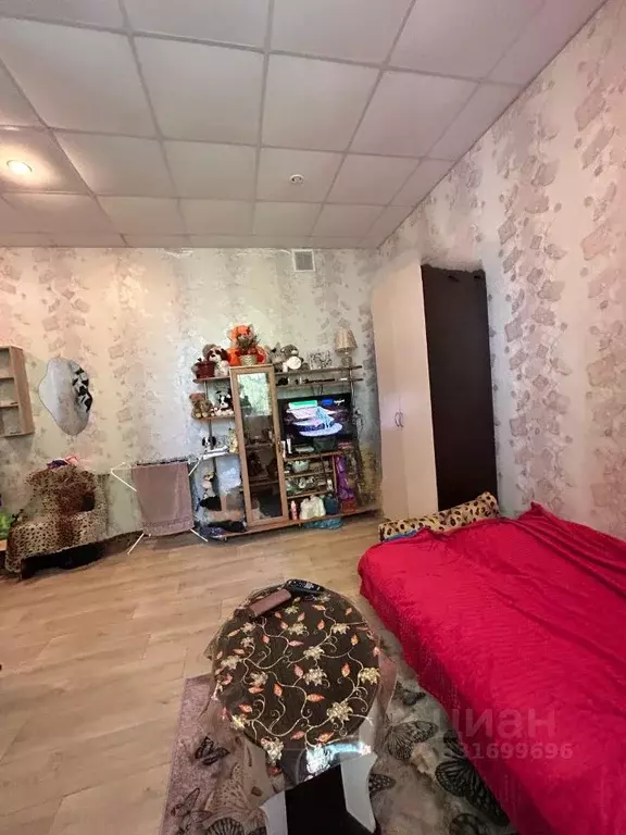Комната Саратовская область, Саратов ул. Большая Садовая, 102 (21.0 м) - Фото 2