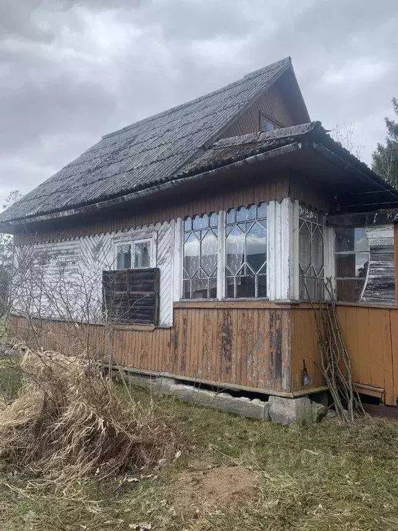 Участок в Санкт-Петербург Малахит СНТ, ул. Лесная (21.0 сот.) - Фото 0
