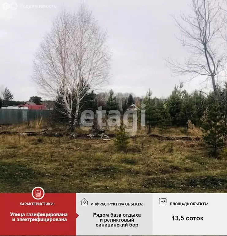 Участок в Тюменская область, Ишимский муниципальный округ, деревня ... - Фото 2