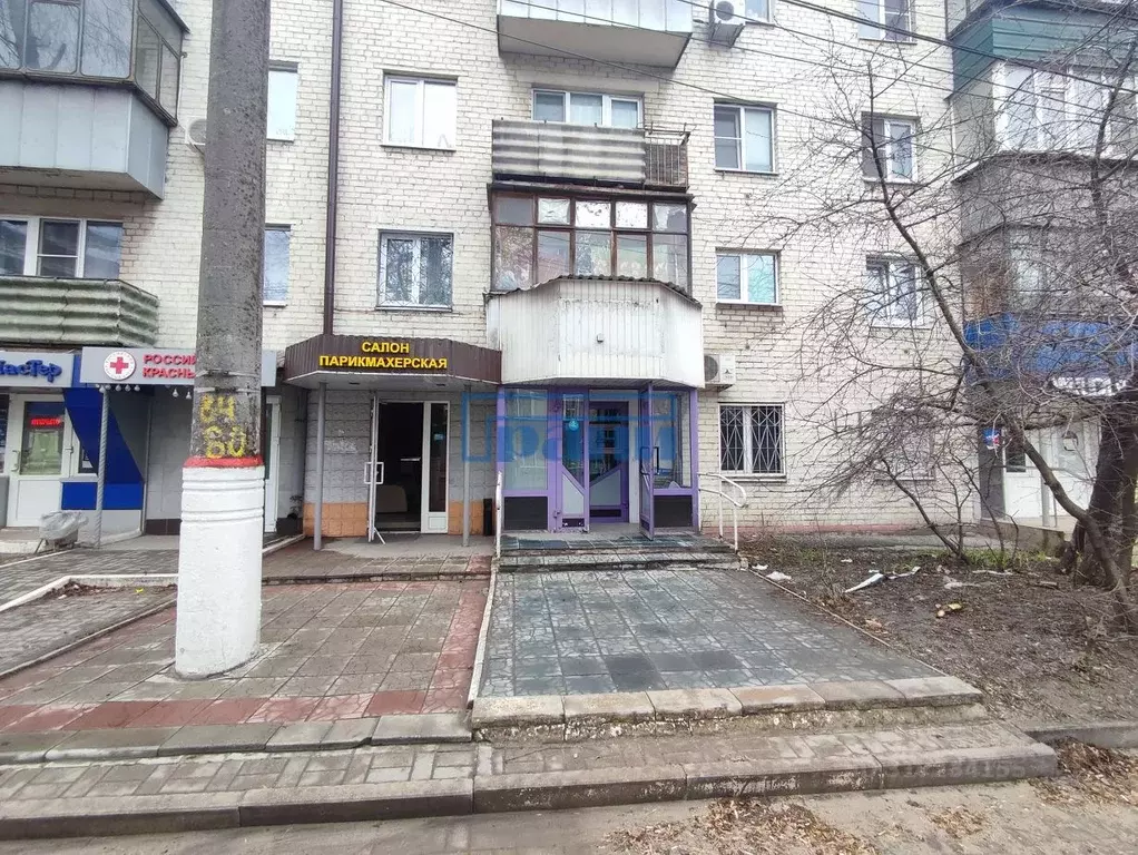 Торговая площадь в Курская область, Курск ул. Радищева, 106 (34 м) - Фото 1