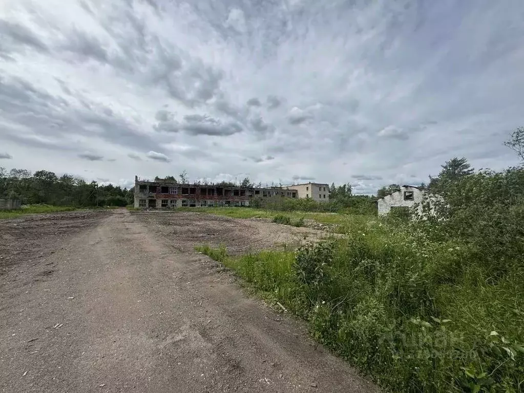 Торговая площадь в Новгородская область, Шимский район, Уторгош ж/д_ст ... - Фото 1