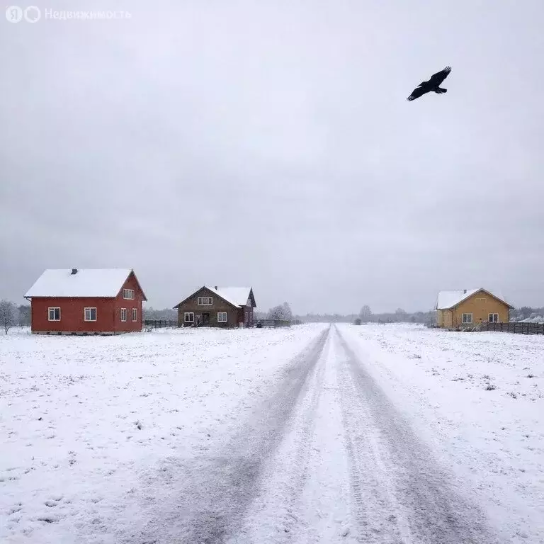 Участок в Челябинская область, Красноармейский муниципальный округ, ... - Фото 2
