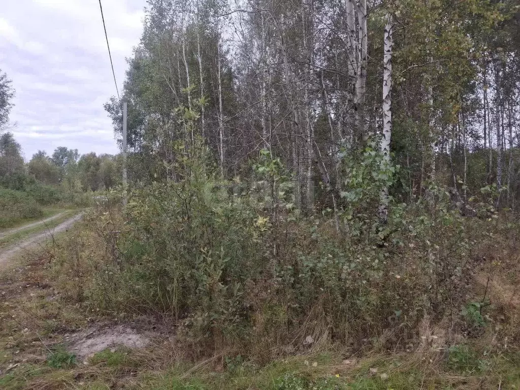 Участок в Тюменская область, Нижнетавдинский муниципальный округ, ... - Фото 1