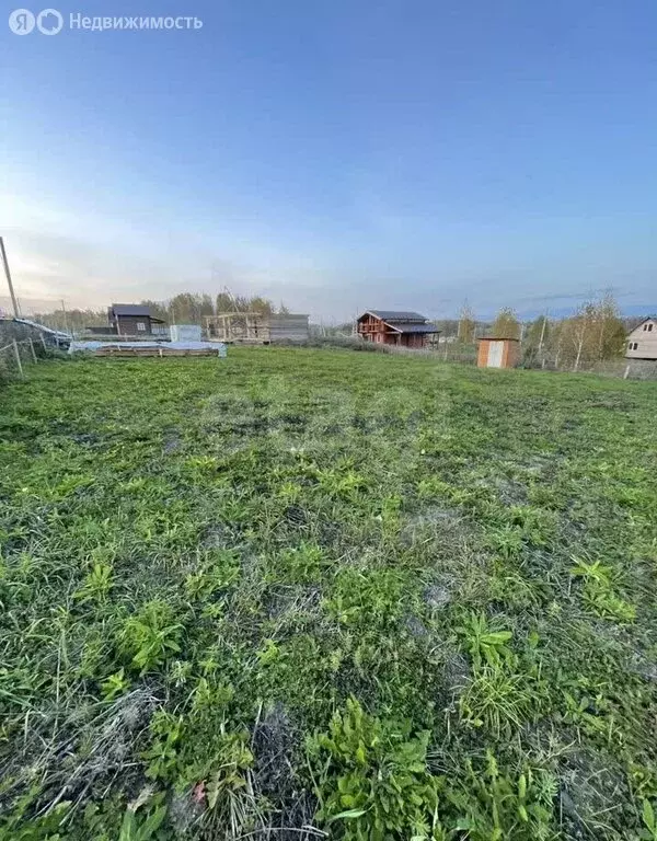 Участок в Томский район, деревня Новомихайловка, ДНП Кедры, Рубиновая ... - Фото 1