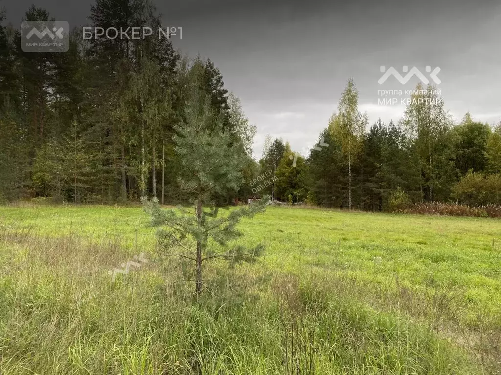 Участок в Ленинградская область, Приозерский район, Мельниковское ... - Фото 2