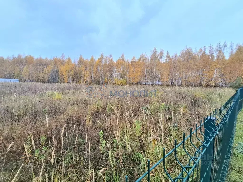 Участок в Нижегородская область, Нижний Новгород с. Безводное, ул. ... - Фото 1