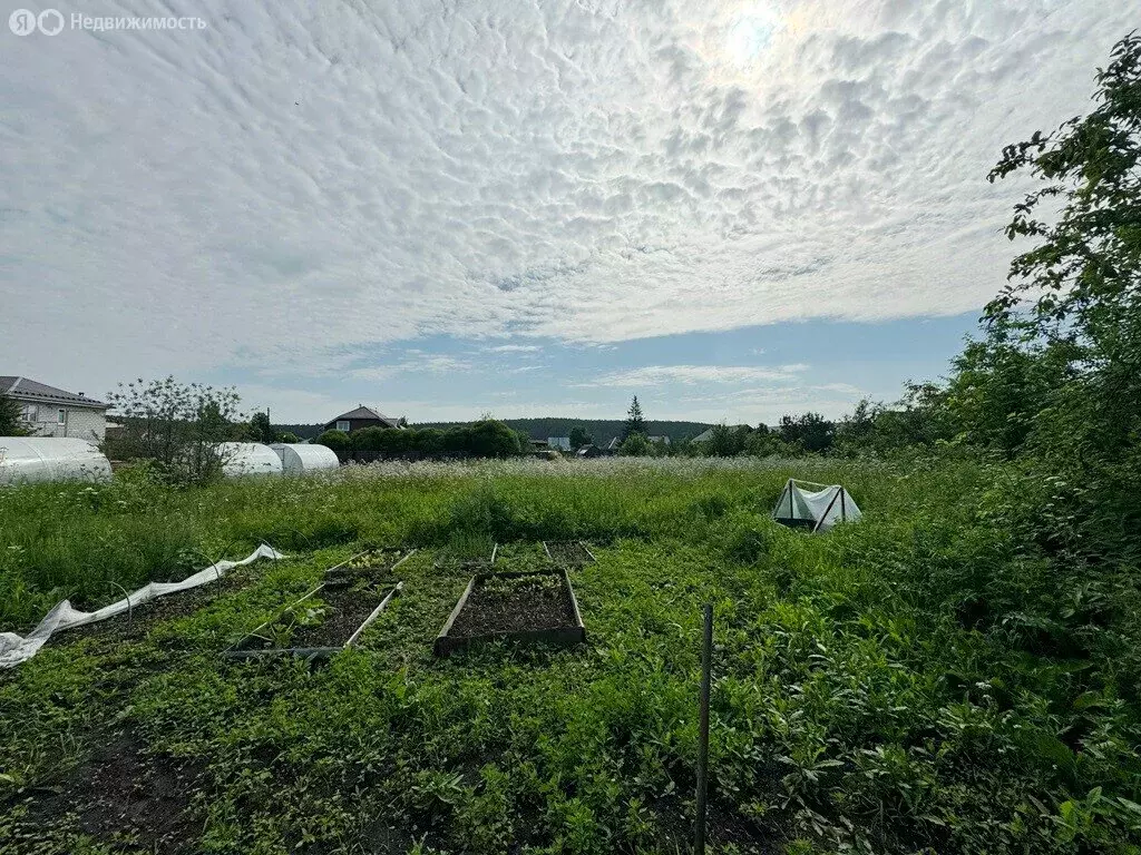 Участок в село Кашино, улица Ленина, 124 (15 м) - Фото 0