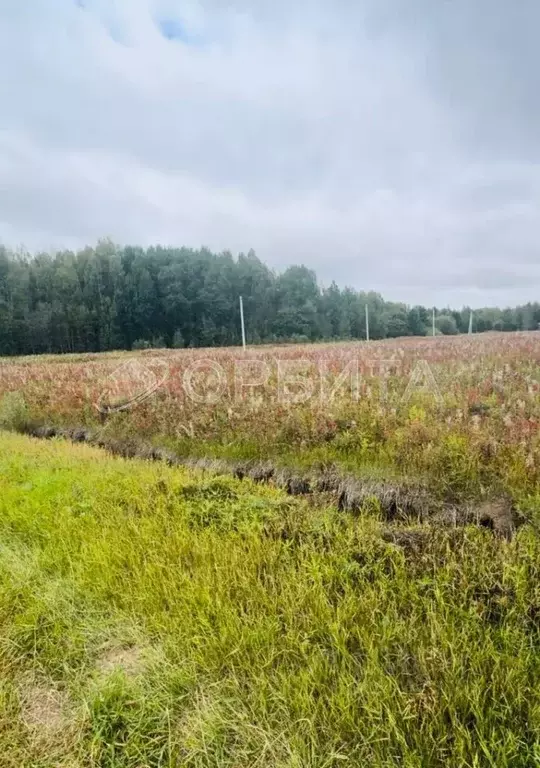 Участок в Тюменская область, Тюменский район, с. Кулига, Кулига-2 мкр  ... - Фото 0