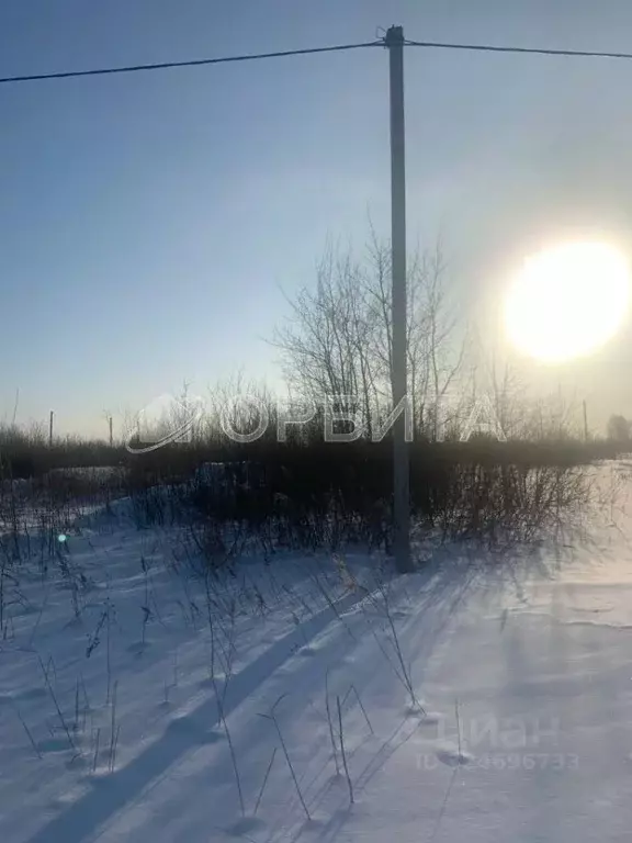 Участок в Тюменская область, Тюмень Дубок садовое товарищество, ул. ... - Фото 2