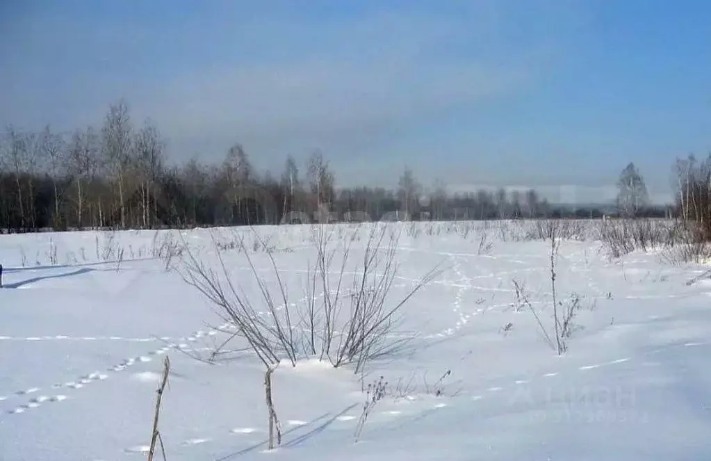 Участок в Татарстан, Верхнеуслонский район, с. Нижний Услон  (12.0 ... - Фото 0