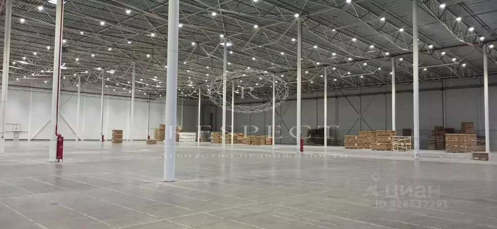 Склад в Московская область, Чехов муниципальный округ, с. Новоселки, ... - Фото 2