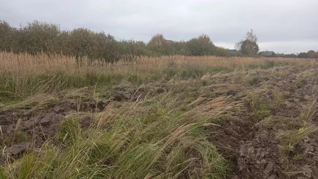 Участок в Московская область, Талдомский городской округ, д. Костино  ... - Фото 2