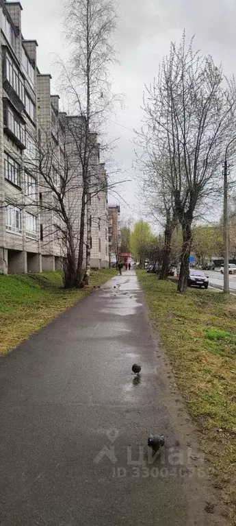 Помещение свободного назначения в Коми, Сыктывкар Интернациональная ... - Фото 1