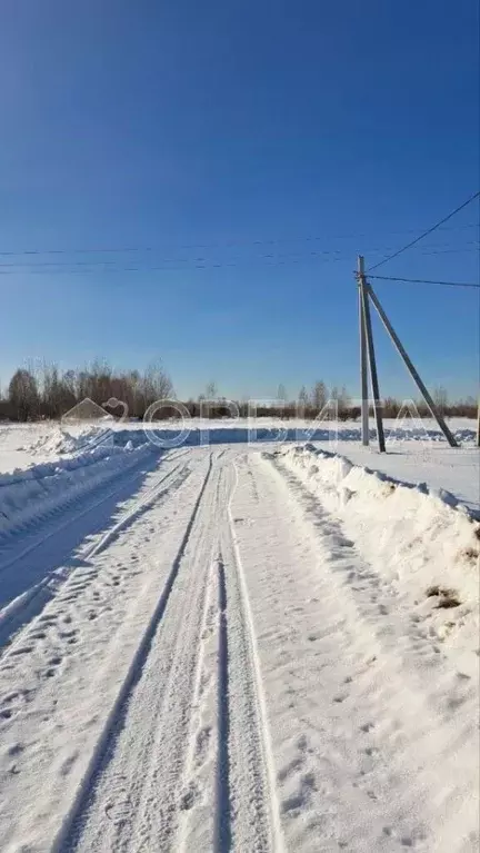 Участок в Тюменская область, Абатский район, пос. Марай  (7.5 сот.) - Фото 0