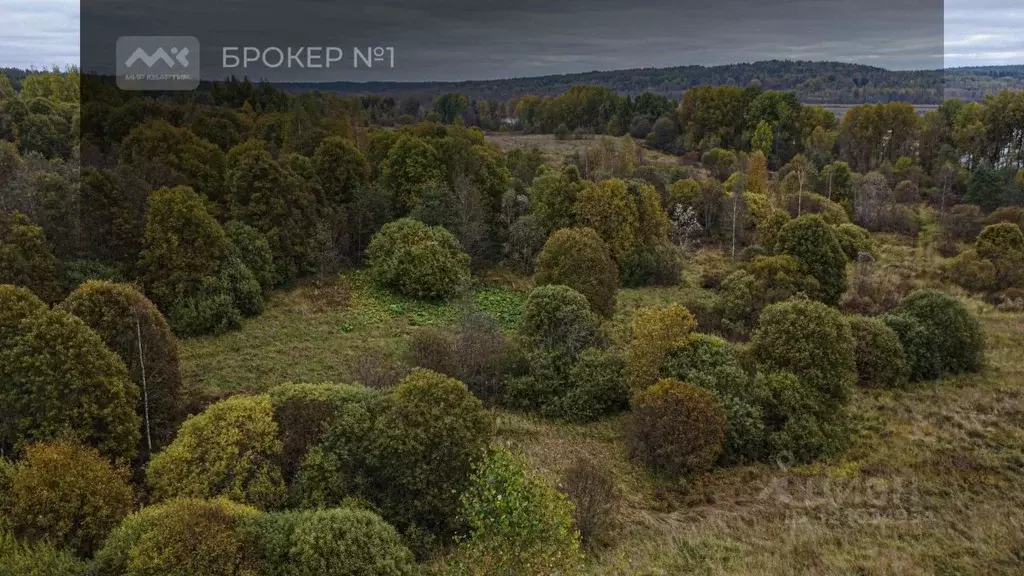 Коттедж в Ленинградская область, Выборгский район, Рощинское городское ... - Фото 2