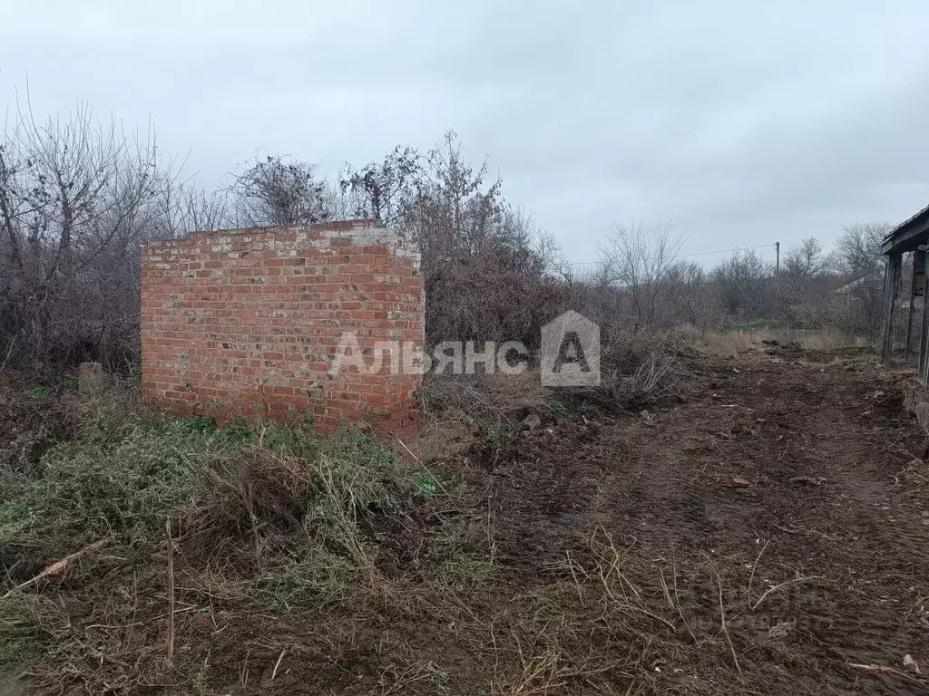 Участок в Ростовская область, Каменский район, Астаховское с/пос, ... - Фото 2