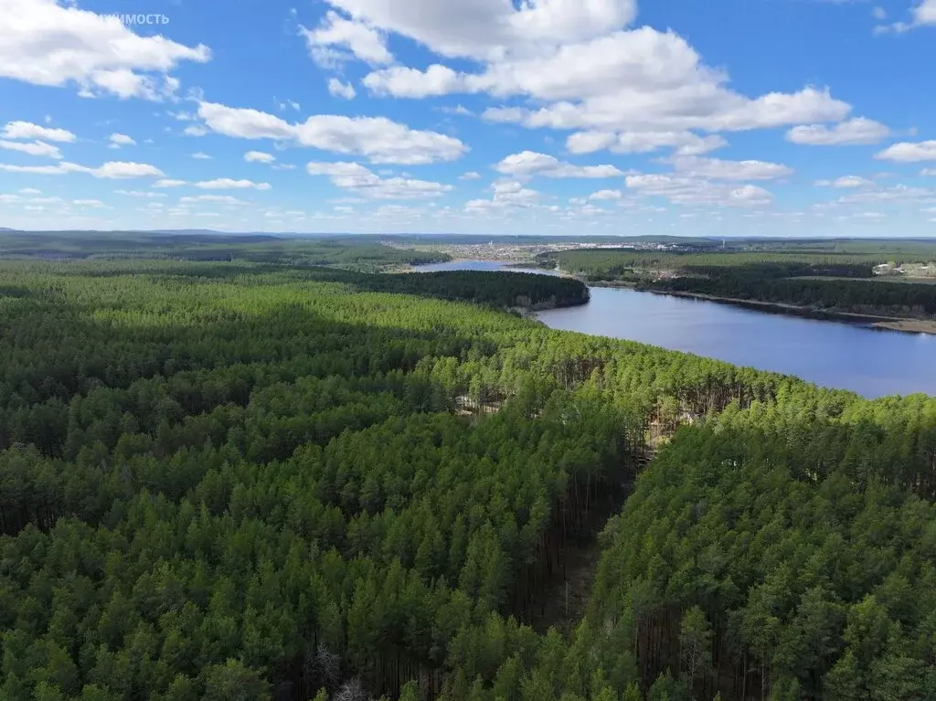 Участок в Свердловская область, Сысертский муниципальный округ, село ... - Фото 2