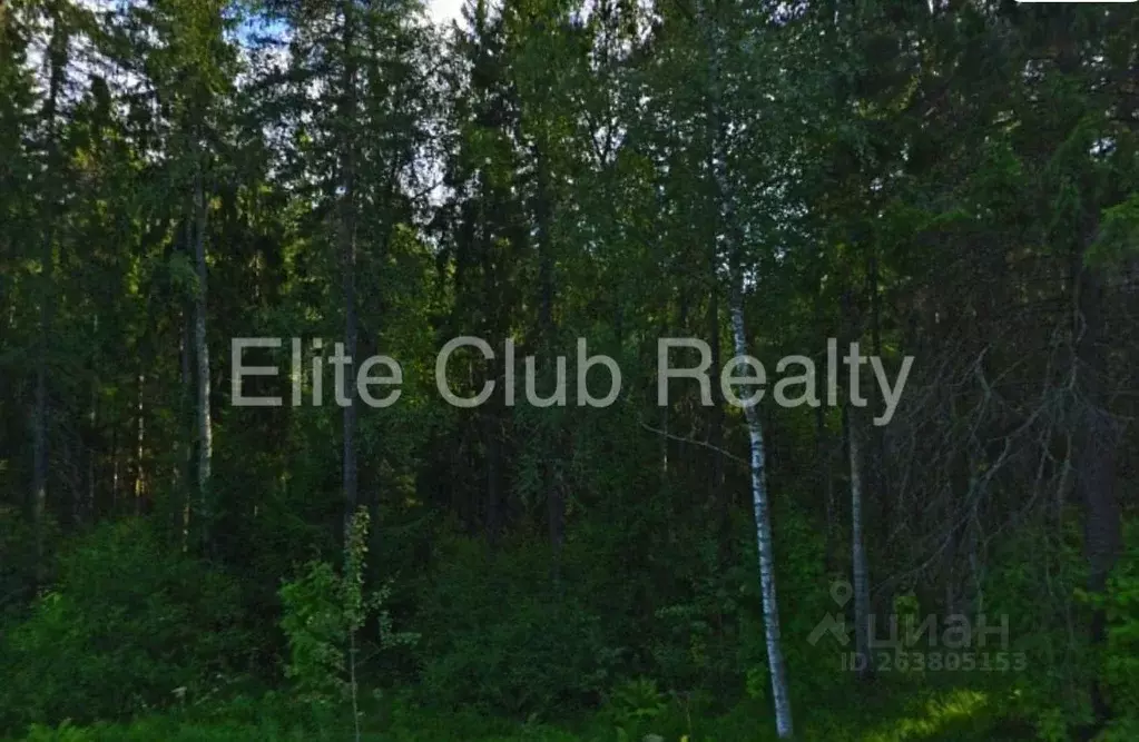 Участок в Санкт-Петербург пос. Солнечное, Лесная ул. (1933.0 сот.) - Фото 1