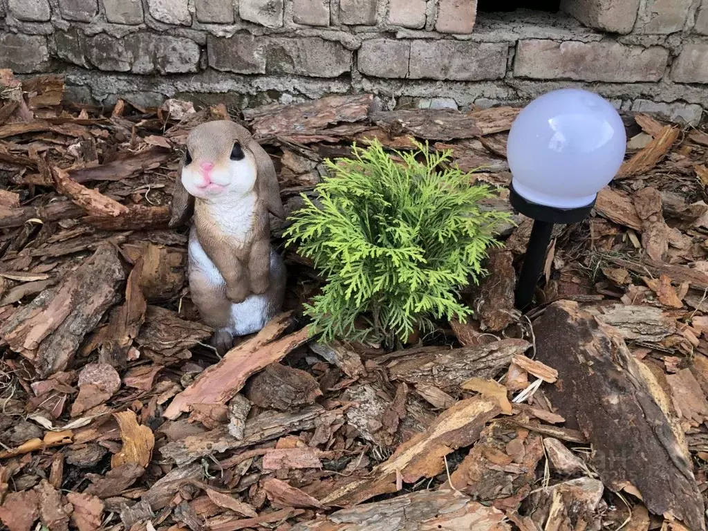 Дом в Красноярский край, Красноярск 6-я Линейная ул. (35 м) - Фото 1