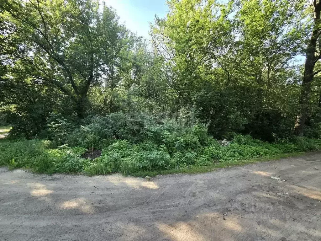 Участок в Тамбовская область, Тамбовский муниципальный округ, Новая ... - Фото 1