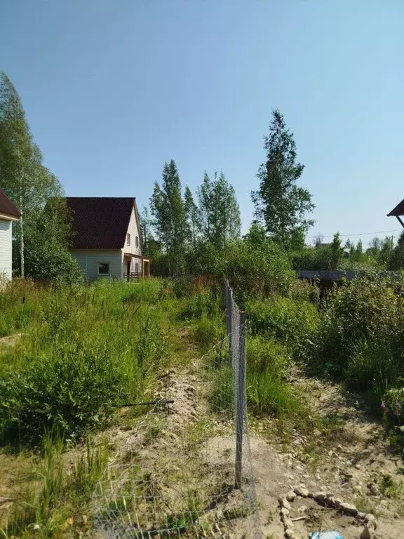 Дом в Ленинградская область, Гатчинский муниципальный округ, д. ... - Фото 1