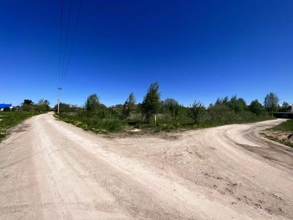 Участок в Псковская область, Печорский муниципальный округ, д. ... - Фото 1