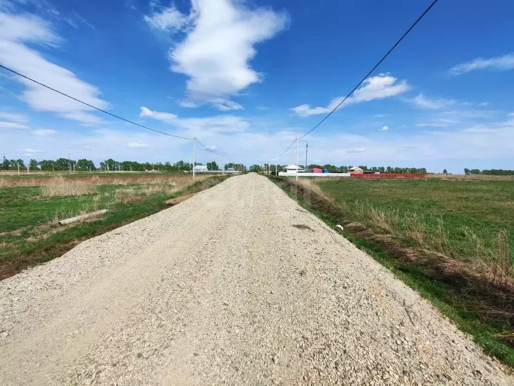 Участок в Амурская область, Благовещенский район, с. Грибское  (15.0 ... - Фото 1