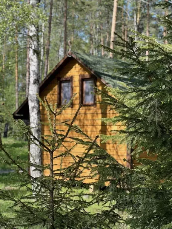 Дом в Карелия, Лахденпохский муниципальный округ, пос. Лумиваара  (60 ... - Фото 1