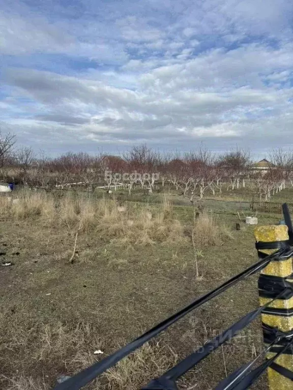 Участок в Крым, Кировский район, Яркополенское с/пос, с. Ореховка ул. ... - Фото 1