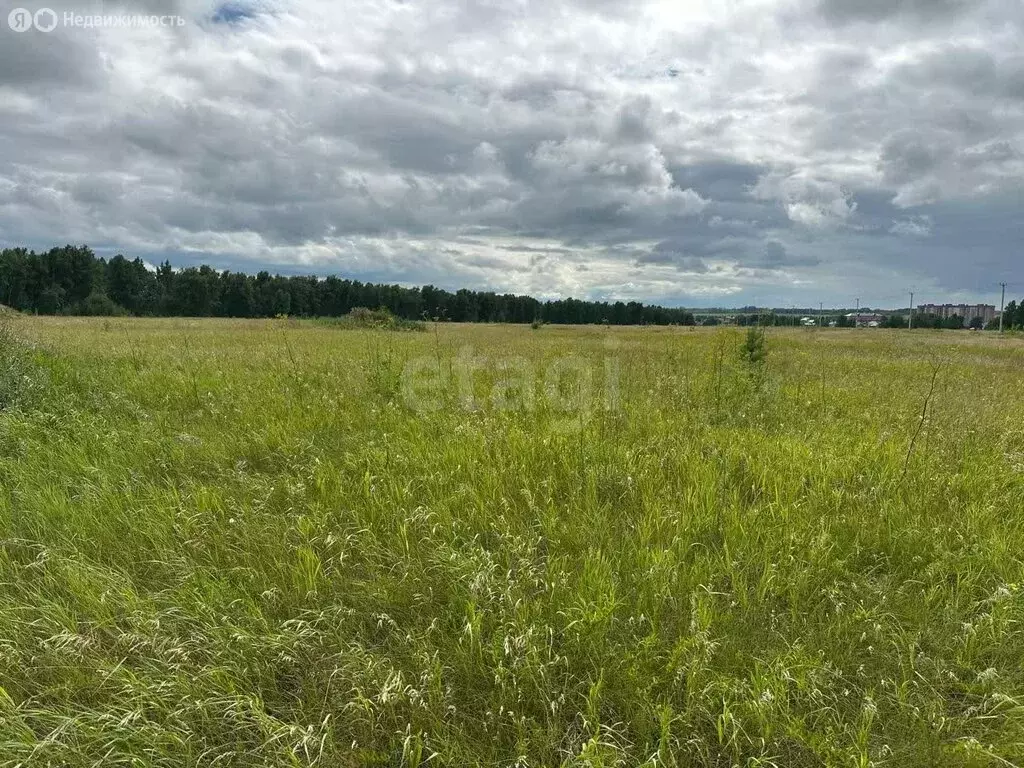 Участок в Новосибирский район, Морской сельсовет, ДНТ Усадьба (10 м) - Фото 1