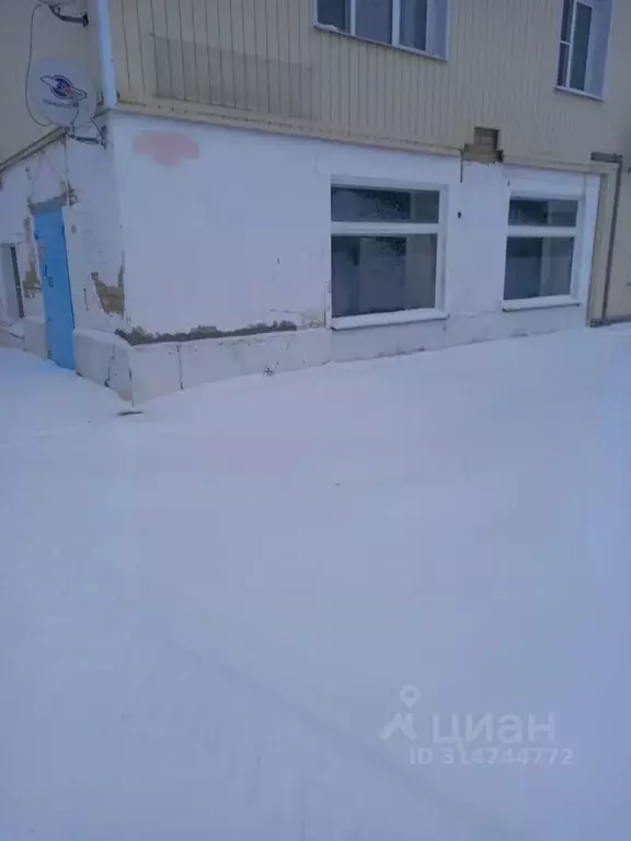 Помещение свободного назначения в Липецкая область, пос. Лев Толстой ... - Фото 1