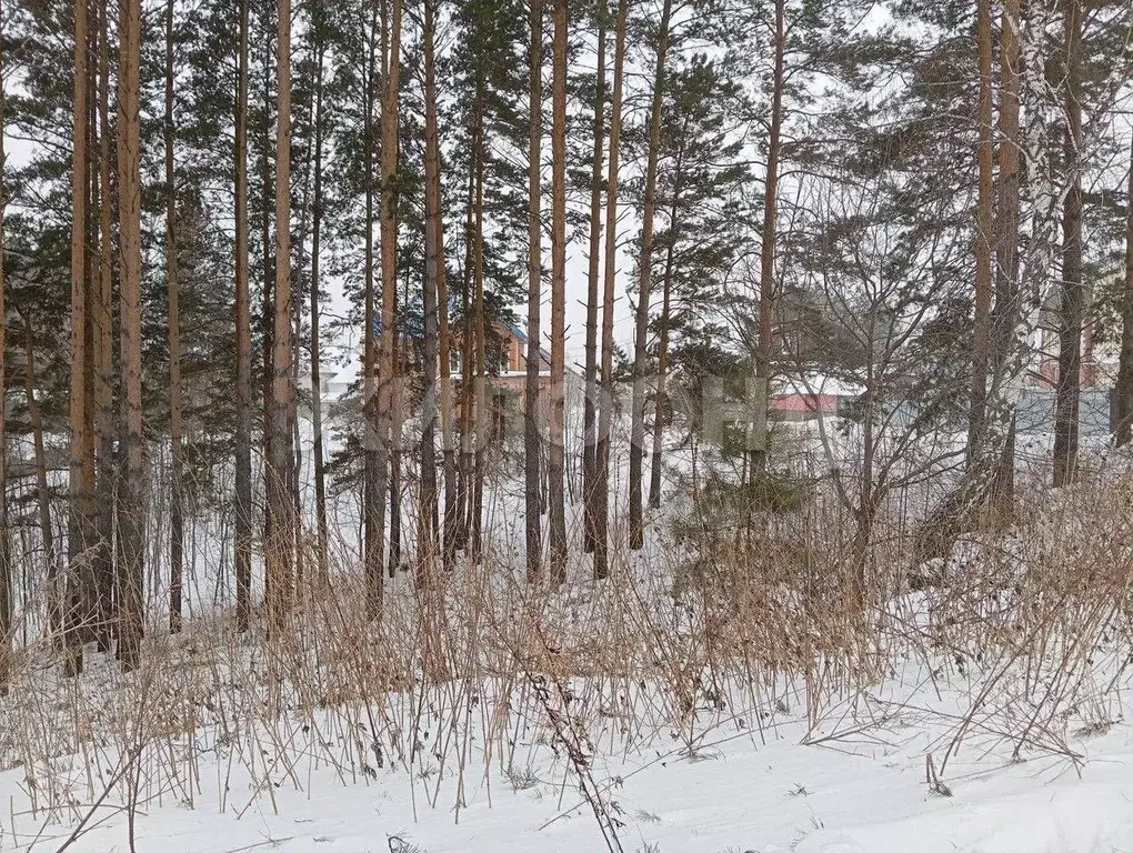 Участок в Томская область, Томск Наука мкр,  (9.5 сот.) - Фото 1