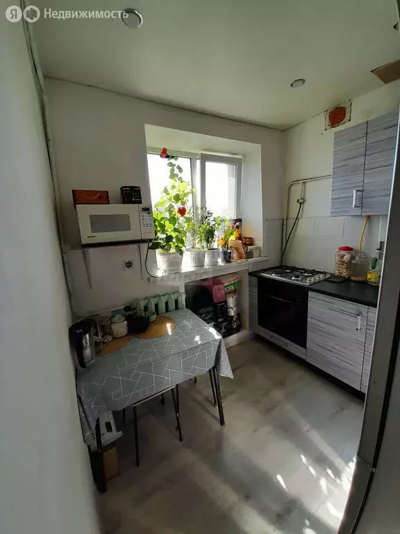 1-комнатная квартира: Оренбург, 1-й проезд Кривцова, 1/2 (28.3 м) - Фото 1