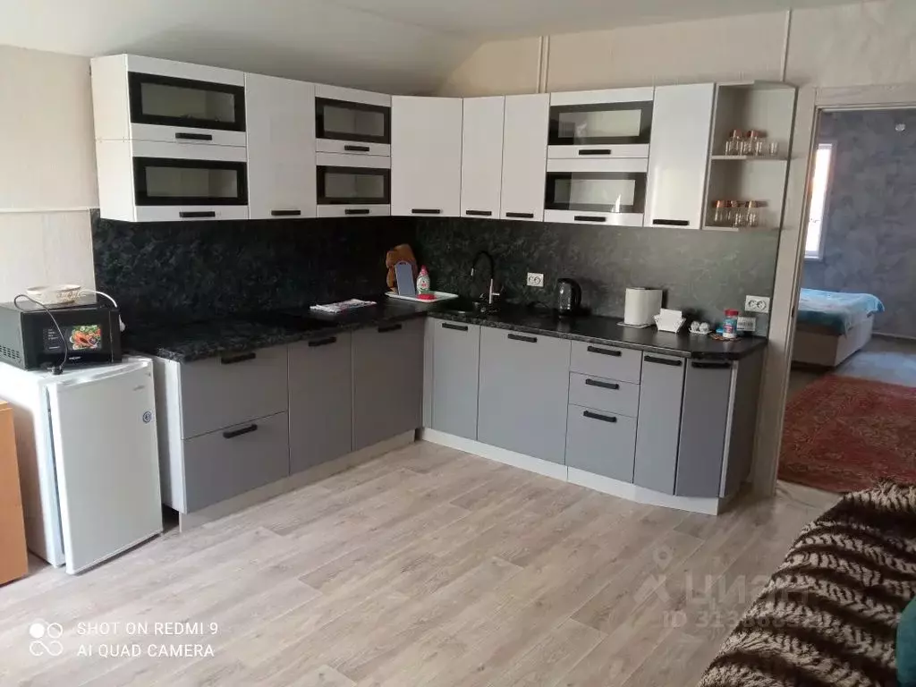 Дом в Алтай, Майминский район, с. Манжерок Подгорная ул., 4 (50 м) - Фото 1