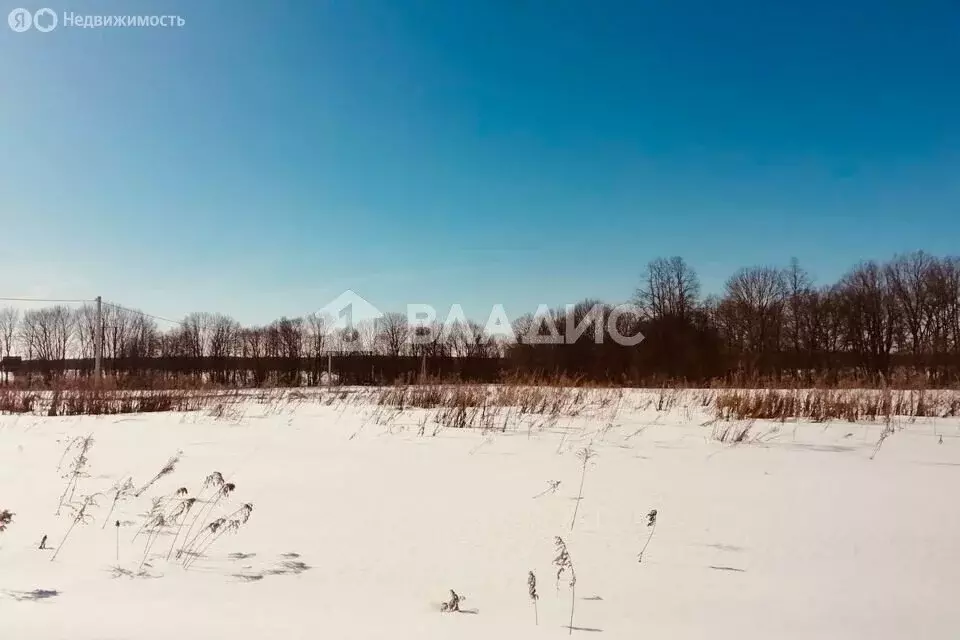 Участок в Суздальский район, муниципальное образование ... - Фото 0