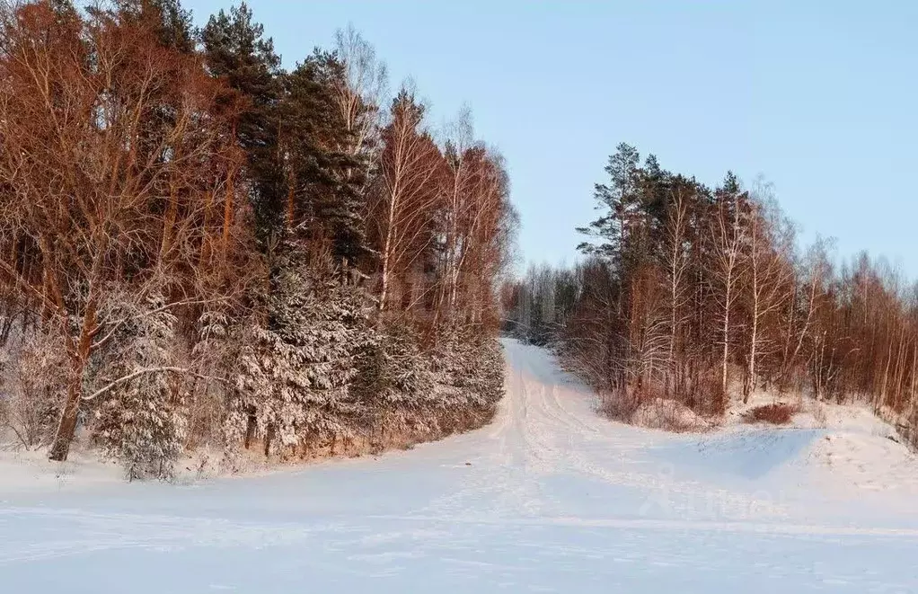 Участок в Тюменская область, Нижнетавдинский муниципальный округ, д. ... - Фото 1