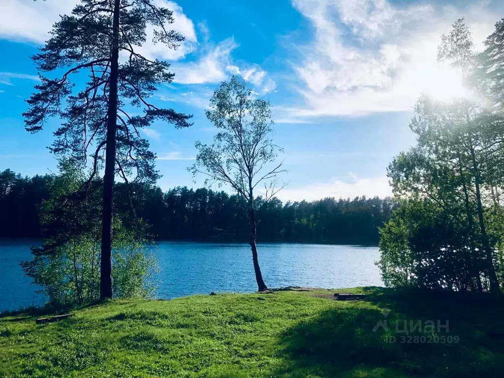 Дом в Ленинградская область, Выборгский район, Полянское с/пос, ... - Фото 2