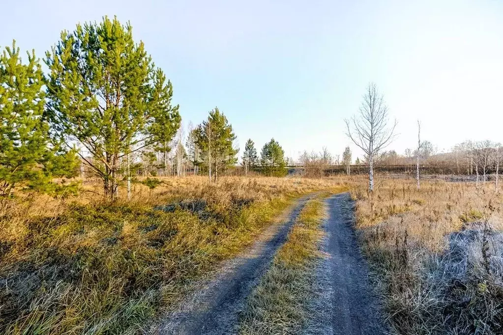 Участок в Новосибирская область, Искитимский район, с. Морозово ул. ... - Фото 0