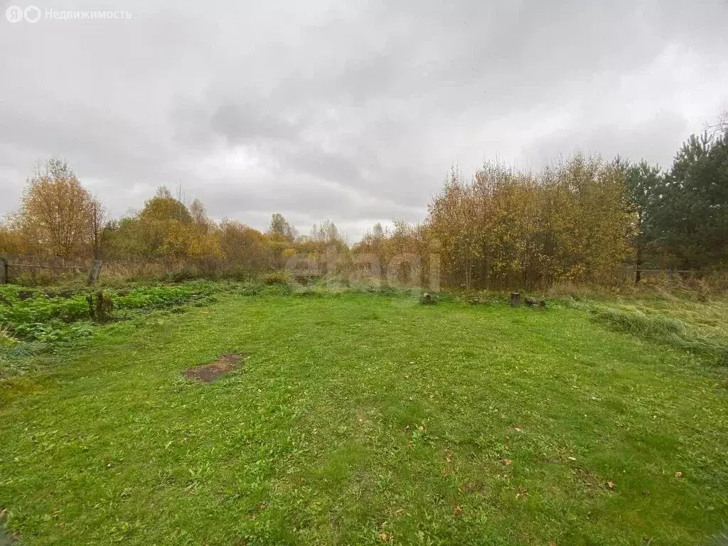 Участок в Судиславский район, Расловское сельское поселение, деревня ... - Фото 2