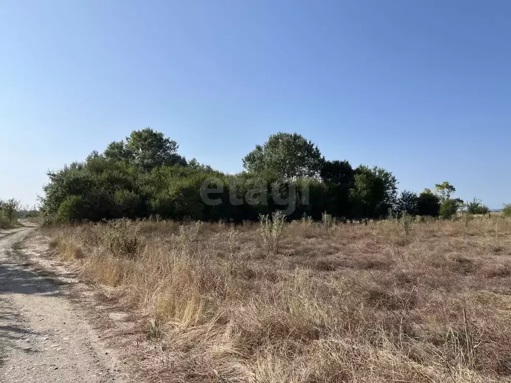Участок в Адыгея, Майкоп городской округ, пос. Северный ул. Школьная ... - Фото 1