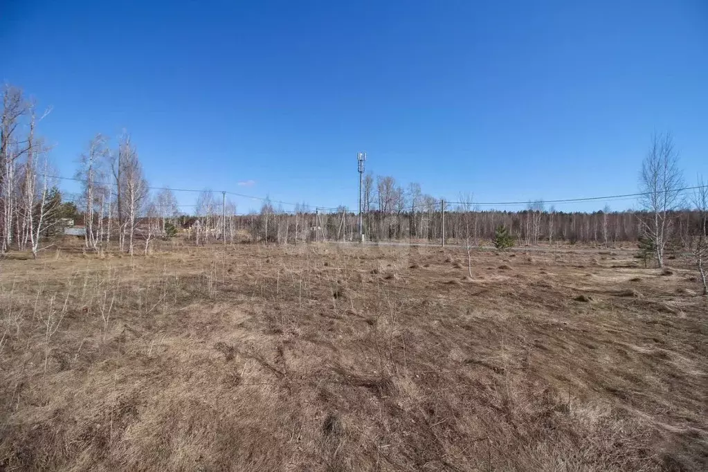 Участок в Алтайский край, Первомайский район, с. Фирсово, Рощино мкр ... - Фото 1