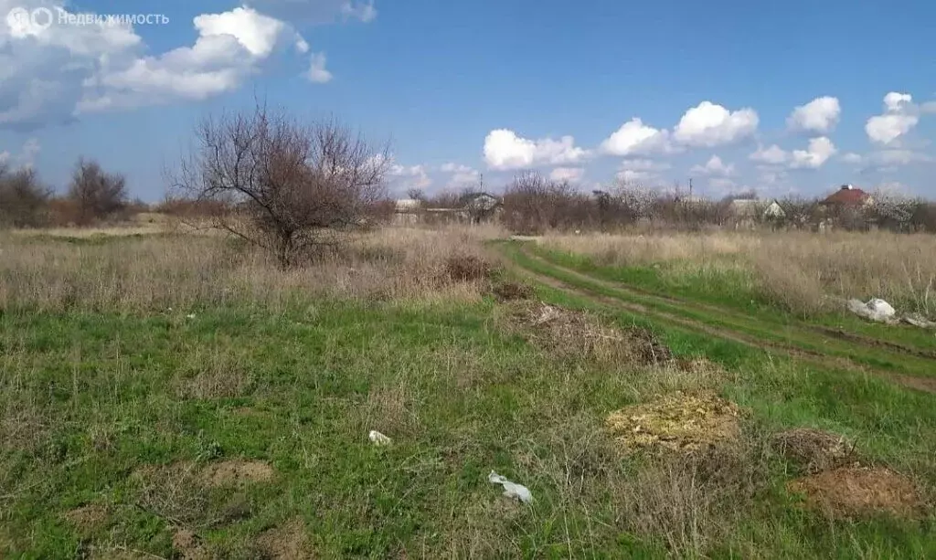 Участок в Владимирская область, Суздальский муниципальный округ, ... - Фото 1