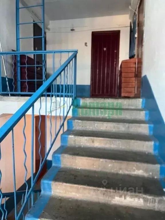 3-к кв. Забайкальский край, Чита ул. Энтузиастов, 95 (70.9 м) - Фото 1