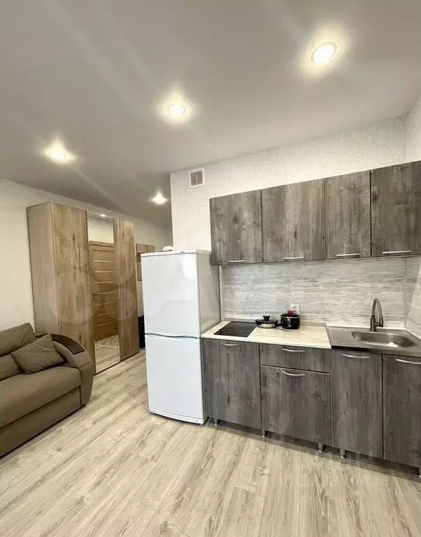 Студия Свердловская область, Екатеринбург ул. Печатников, 3 (24.97 м) - Фото 1