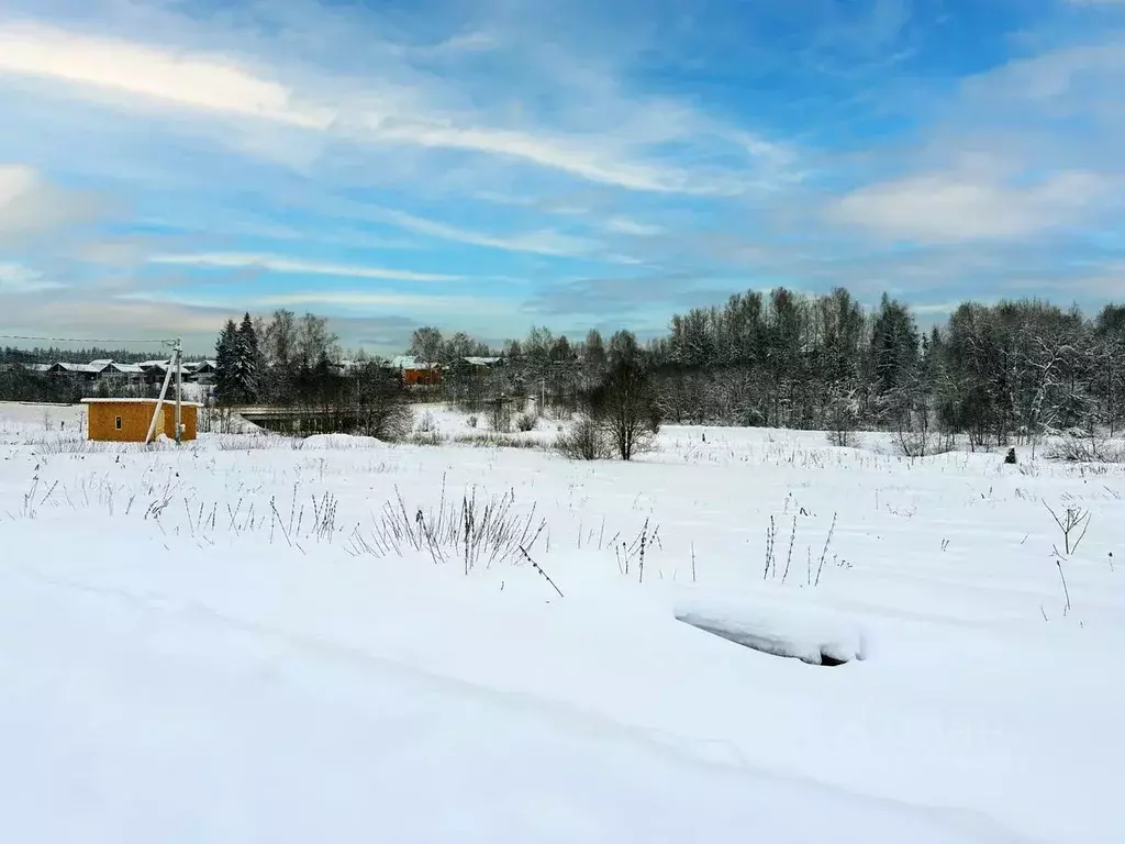 Участок в Московская область, Дмитровский муниципальный округ, Форест ... - Фото 2