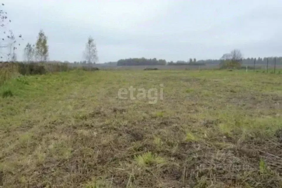 Участок в Амурская область, Благовещенский район, Елочка СТ  (12.0 ... - Фото 0