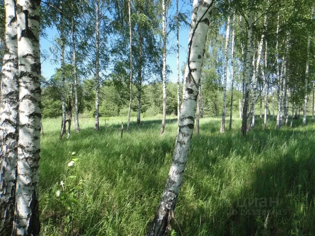 Участок в Смоленская область, Демидовский муниципальный округ, д. ... - Фото 0