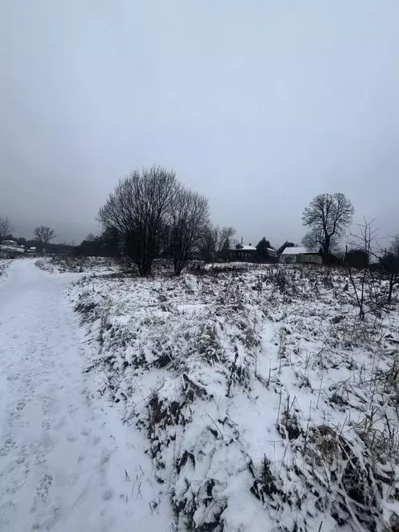 Участок в Московская область, Ступино городской округ, д. Прудно ул. ... - Фото 1