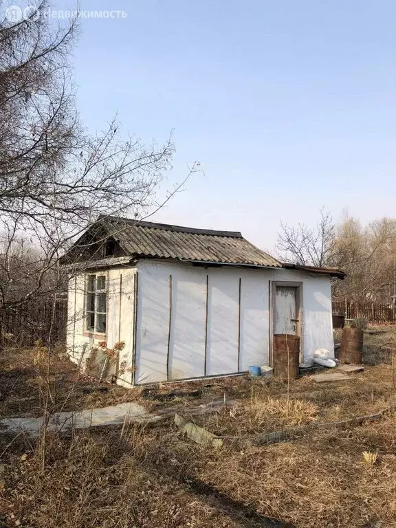 Дом в Хабаровский район, село Некрасовка (20 м) - Фото 1