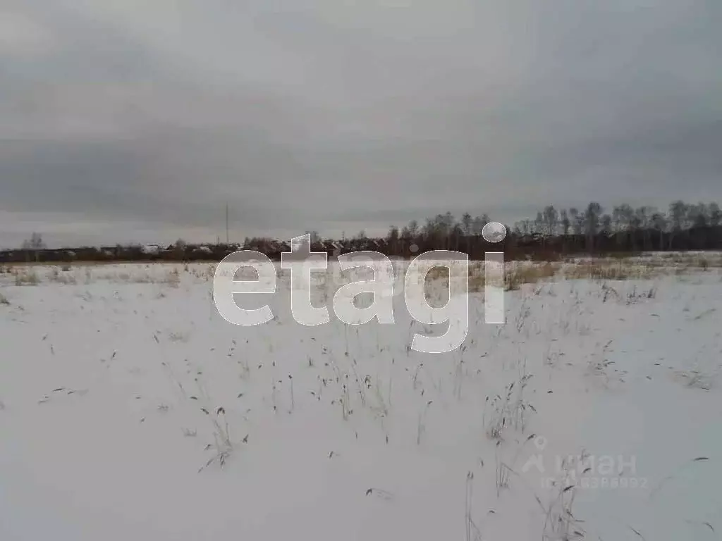 Участок в Курганская область, Шадринск ул. Фофанова (10.0 сот.) - Фото 1